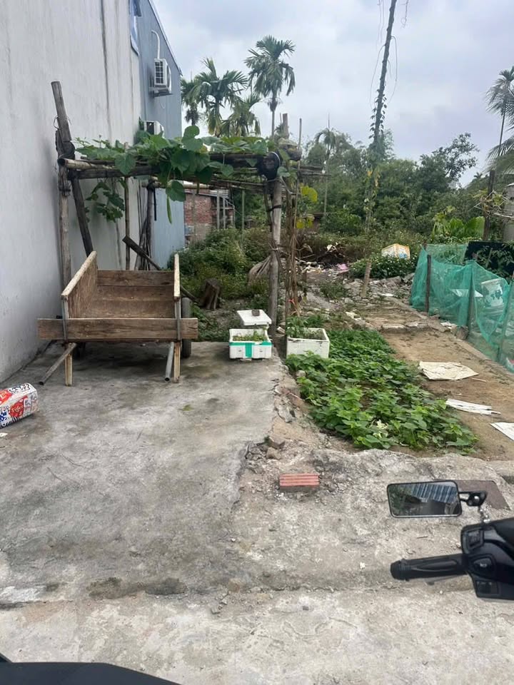 Đất nền An Dương Hải Phòng 60m² giá 9xx triệu - Sổ đỏ chính chủ!