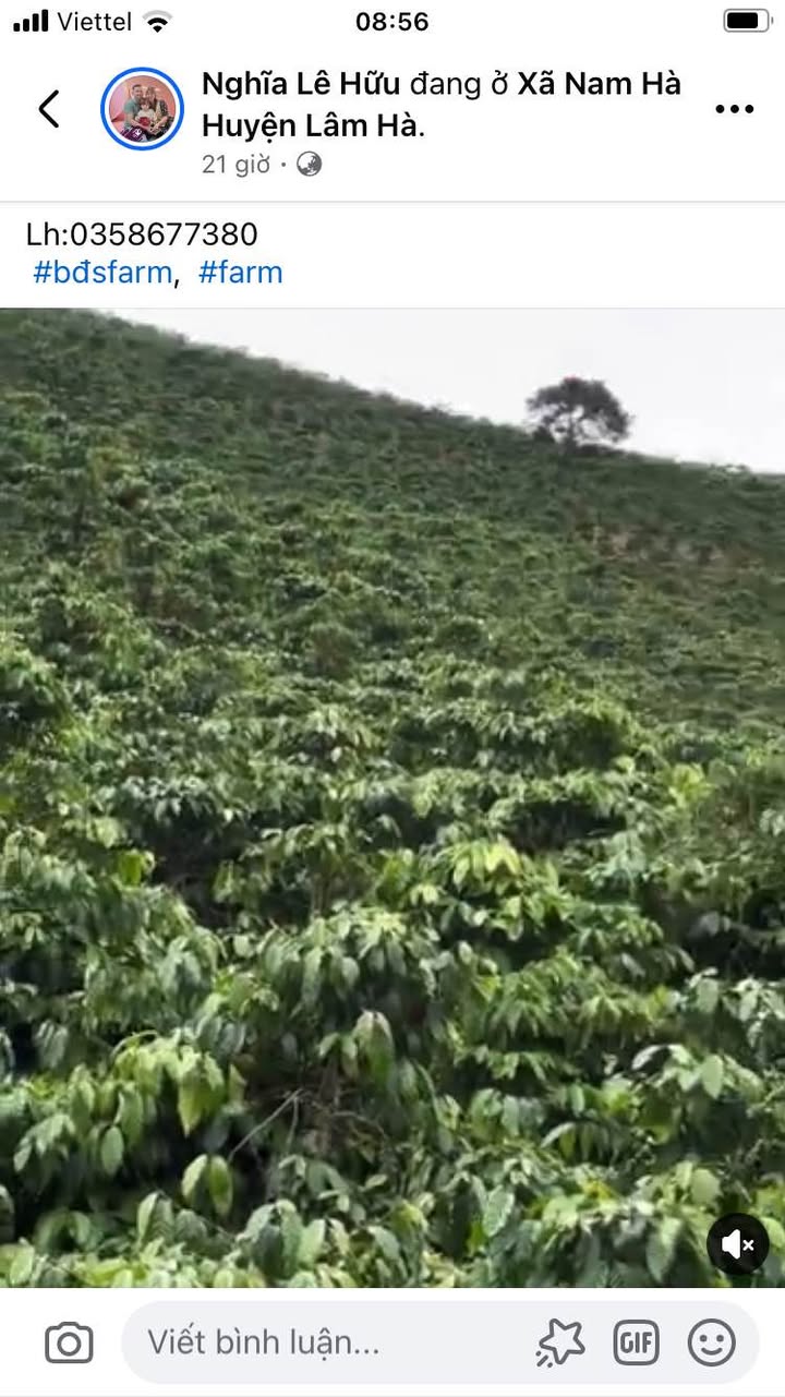 Đất nền Đa Đờn Lâm Hà 1.4ha - Tiềm năng tăng giá vượt trội!