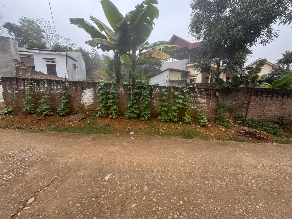 Đất nền Thạch Đồng, Thanh Thuỷ 564m² 1 tỷ - Sổ đỏ chính chủ