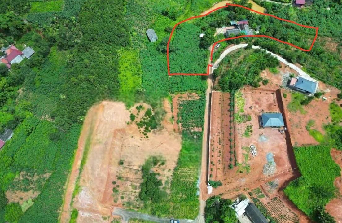 Đất nghỉ dưỡng 4000m² Đào Xá, Phú Thọ - Nghỉ dưỡng lý tưởng!