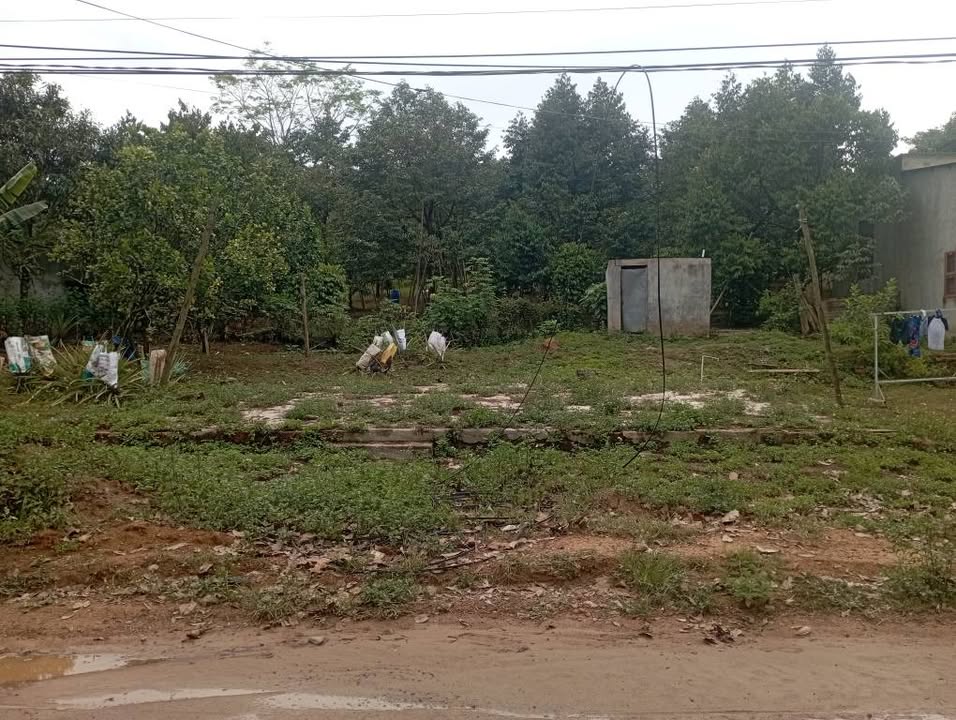 Đất Vườn 2124m² Mặt Tiền Sơn Hiệp, Khánh Sơn - Sầu Riêng Quanh Năm