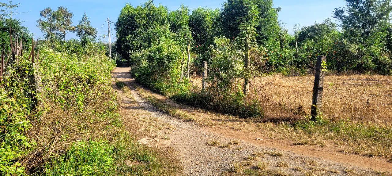 Đất nền Xuân Thành 1700m² giá 599.999 triệu - Sổ hồng chính chủ!