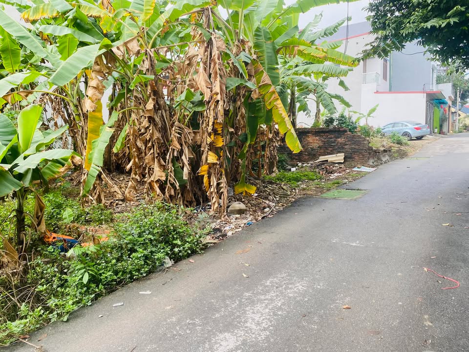 Đất nền Vĩnh Yên 100m² giá 2 tỷ - Tiềm năng tăng giá vượt trội!