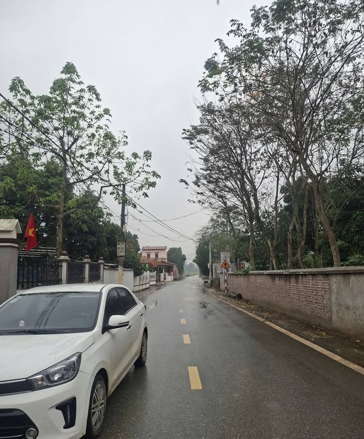 Đất nền Tân Lập Sông Lô 100m² giá 1.3 tỷ - Sổ đỏ chính chủ!