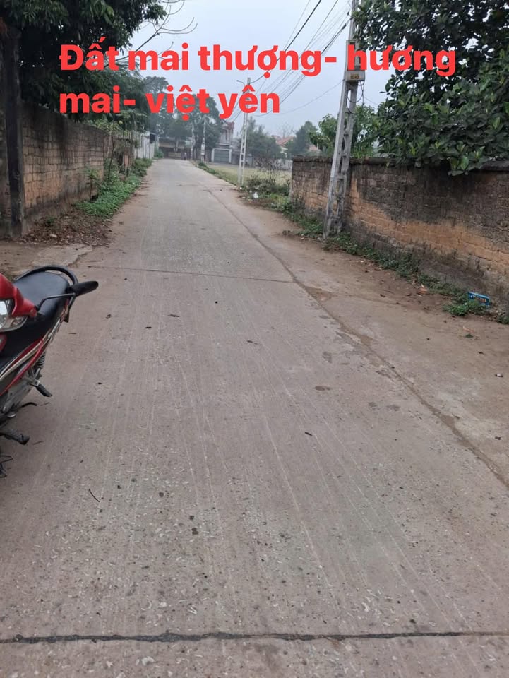 Đất Nền Việt Yên 194.1m² Sổ Đỏ Chính Chủ - Giá Tốt Đầu Tư