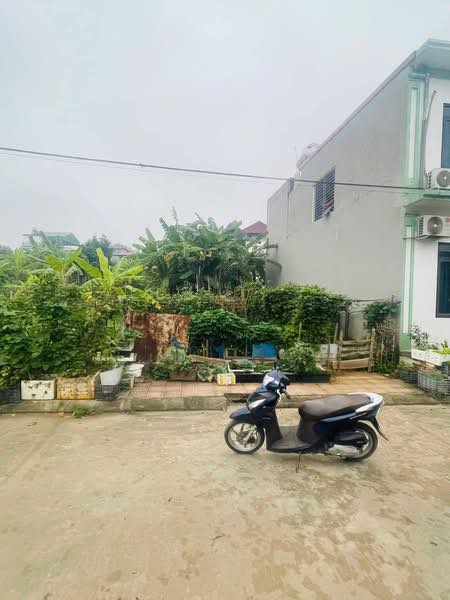 Đất Nền 86m² Thôn Kiều, Hiên Vân - Hướng Nam, Lưng Tựa Núi, Giá 3 Tỷ