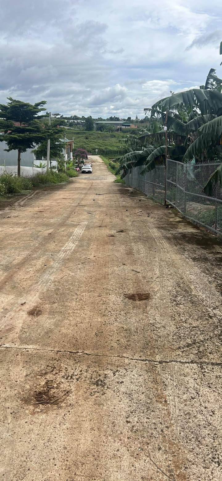 Bán Gấp Đất 167m² Sổ Đỏ, Lộc An, Bảo Lâm - Gần Cty Hồ Phượng