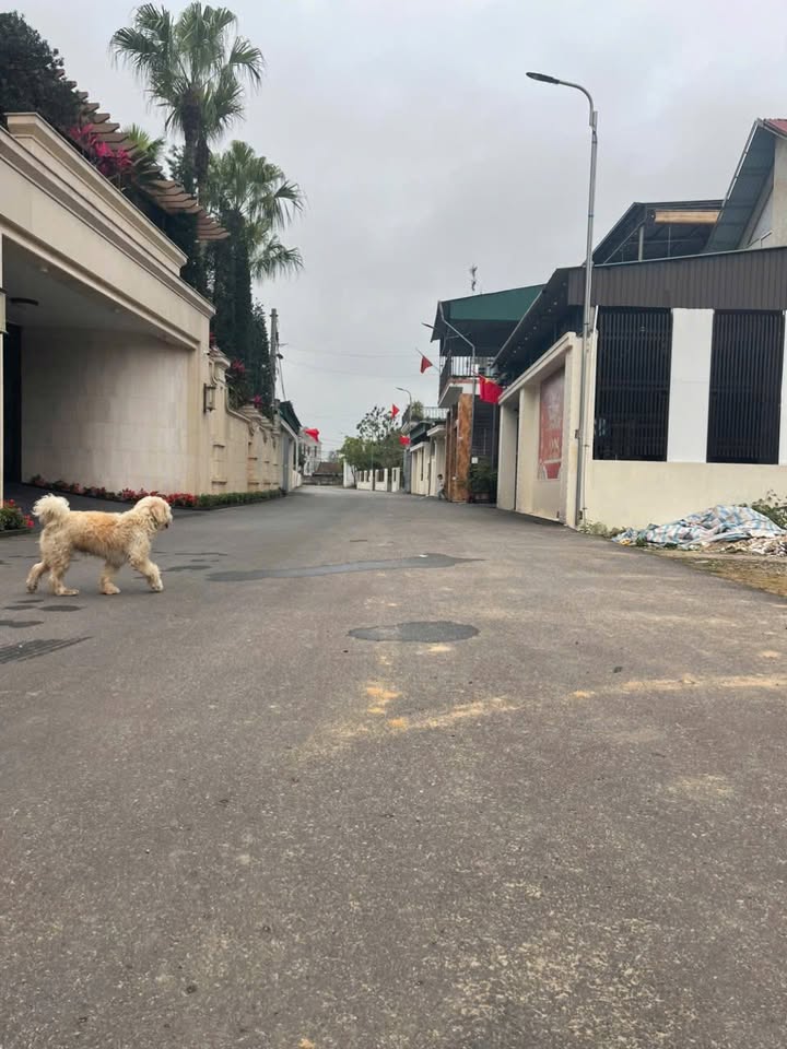 Đất nền Thắng Hòa Hà Huy Tập 91m² giá 2 tỷ - Sổ đỏ chính chủ