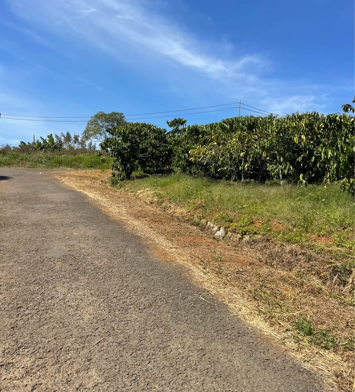 Đất Nền 2 Mặt Tiền Lộc An, Bình Dương - 110m² Sổ Hồng Sẵn Sàng