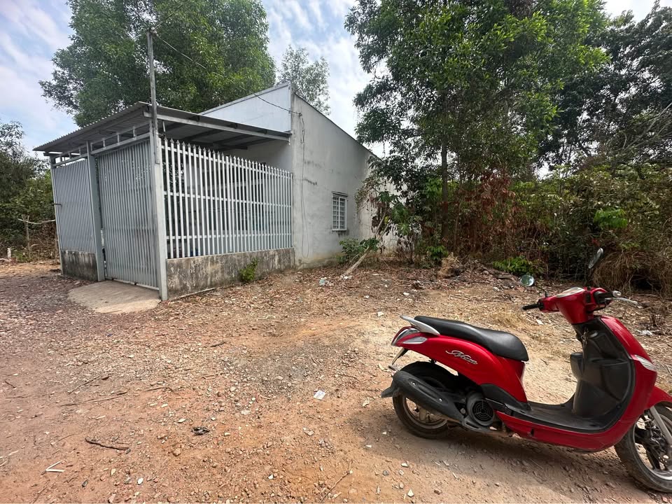 Đất nền Hùng Vương Nhơn Trạch 100m² - Sổ đỏ chính chủ, đường ô tô