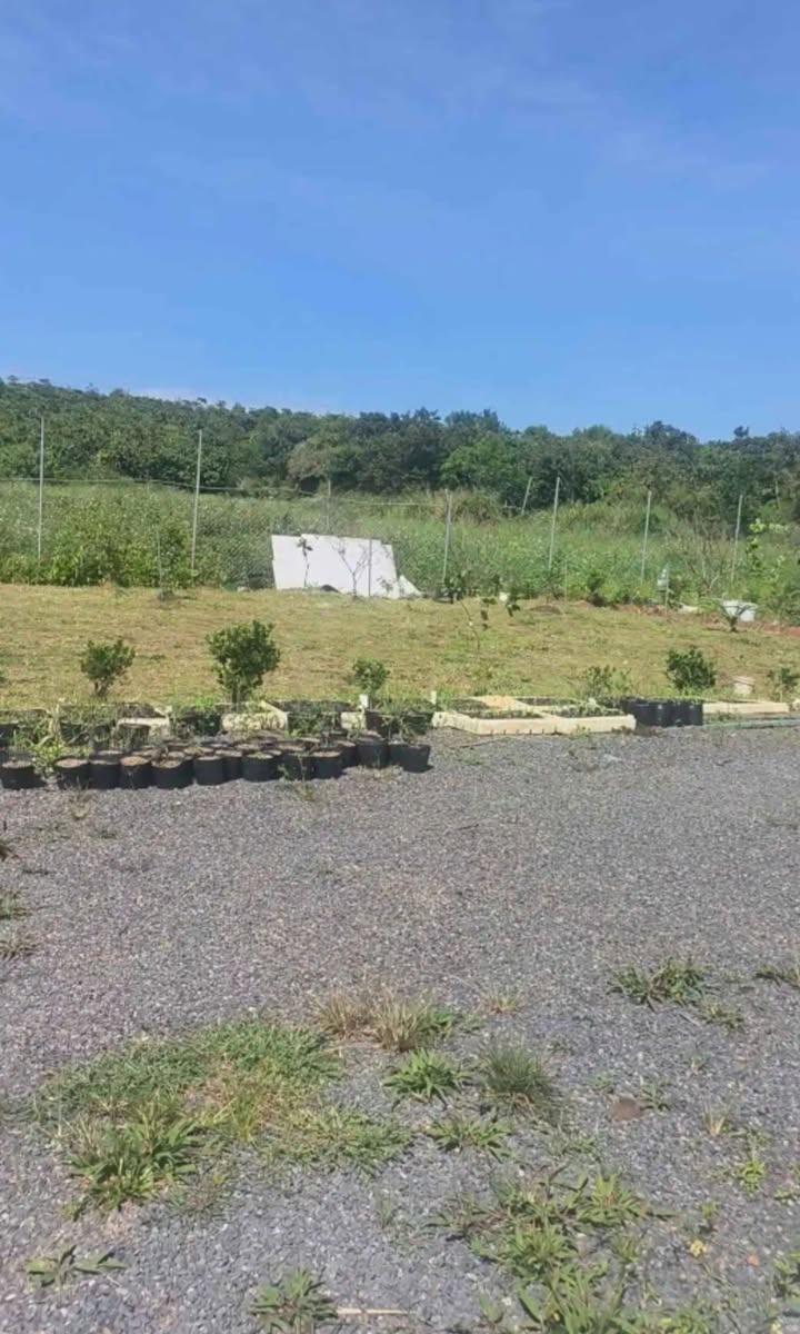 Đất nền 1400m² Thôn 13 Lộc Thành - Nghỉ dưỡng lý tưởng, giá chỉ 1.5 tỷ