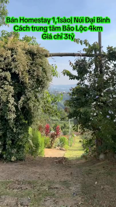 Homestay Bảo Lộc 432m² Đường Hoài Thanh - Sổ hồng sẵn