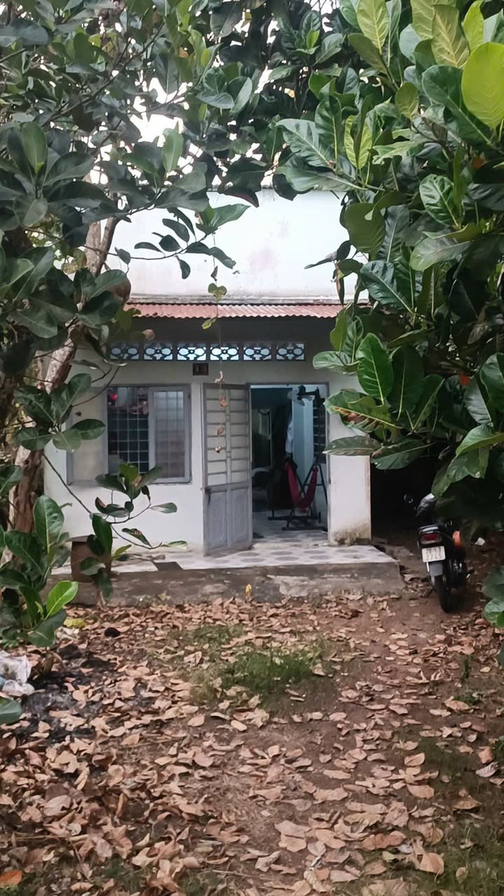 Nhà Phường Bảo Vinh Long Khánh 132m² - Giá Tốt Hiếm Có!