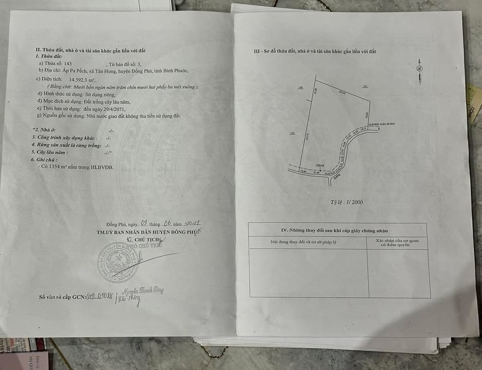 Đất Rẫy Điều Tân Hưng, Đồng Phú 14.592m² - Sổ đỏ chính chủ, bán gấp!