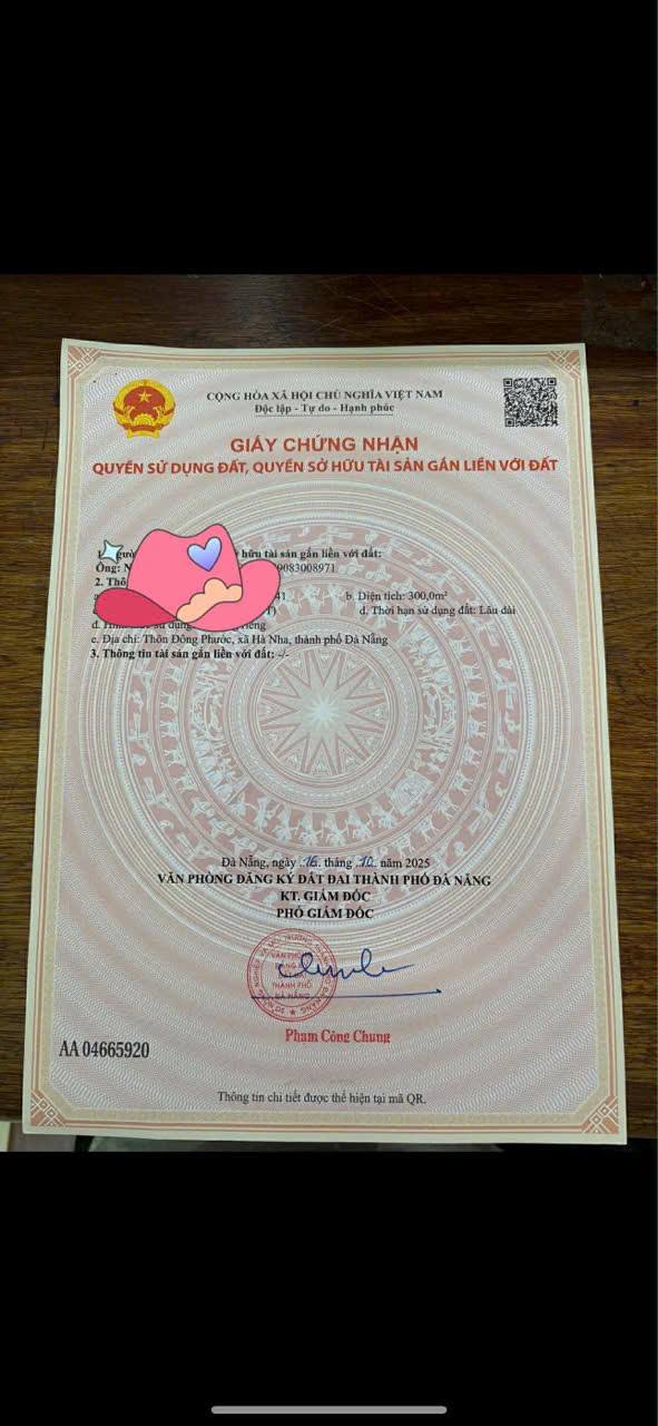 Đất nền Đại Hồng Đại Lộc 300m² giá 660 triệu - Lô góc 2 mặt tiền