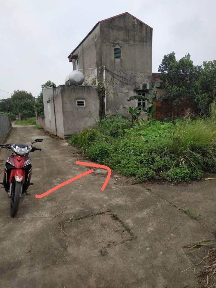 Bán đất 67m² nở hậu tại Cẩm Giàng, Hải Dương - Gần KCN Đại An