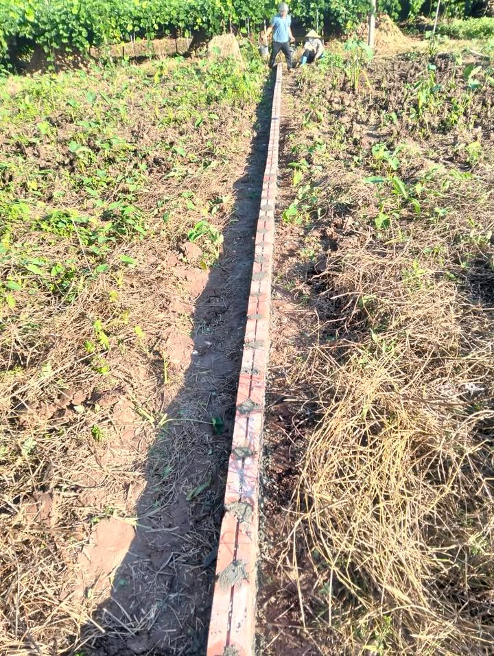 Đất nền Thanh Hà, Hải Dương 102m² - Sổ đỏ chính chủ!