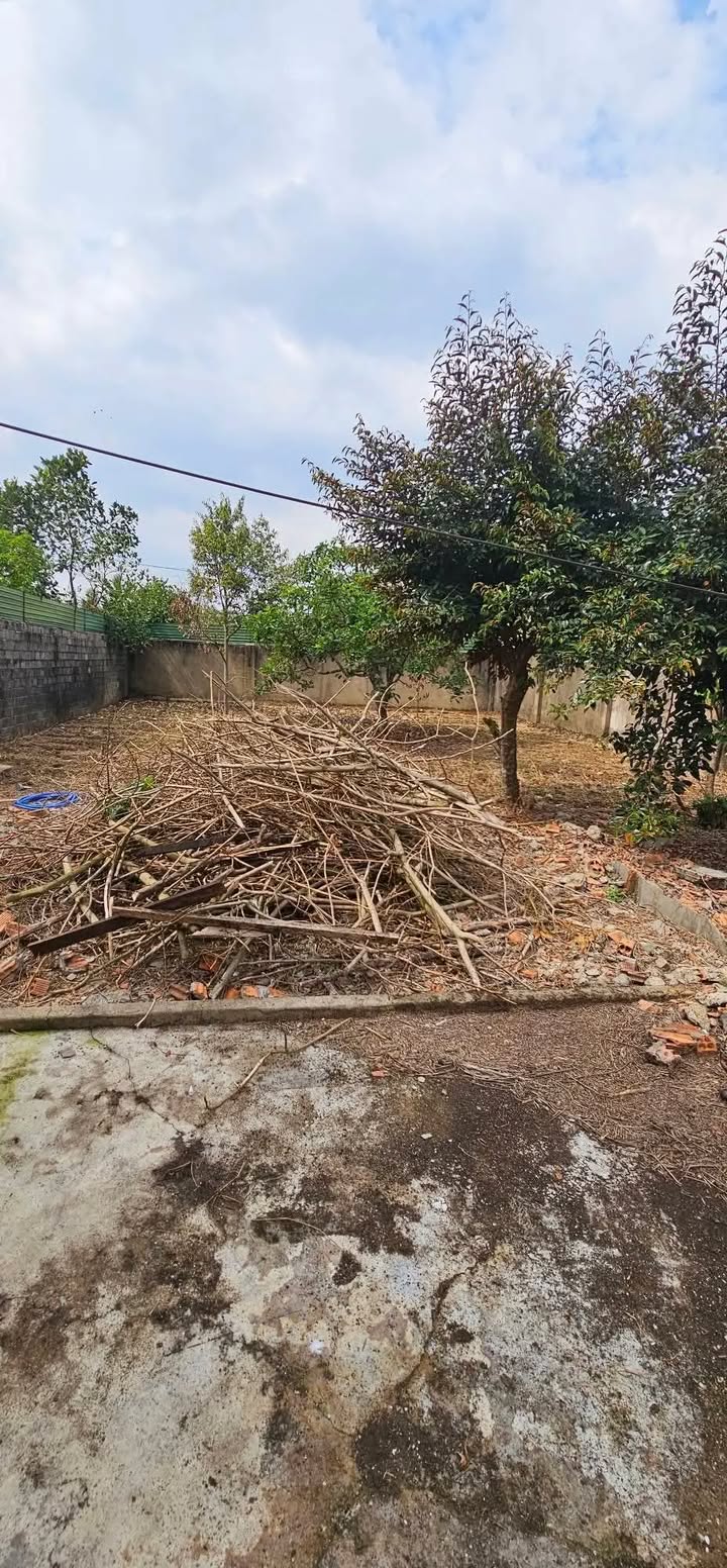 Nhà cấp 4 Bảo Lộc 402m² giá 2,1 tỷ - Sẵn sàng ở ngay