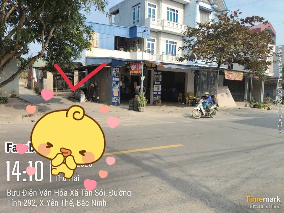 Đất nền Tân Sỏi, Yên Thế 100m² giá nhỉnh 1 tỷ - Tiềm năng tăng giá vượt trội!