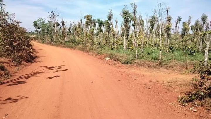 Đất nền Đắk Nông 3240m² giá 850 triệu - Đường to ô tô