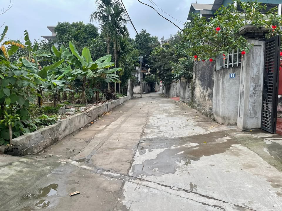 Đất nền Phù Lưu Tế Mỹ Đức 100m² - Sổ đỏ chính chủ, chỉ 2 tỷ!