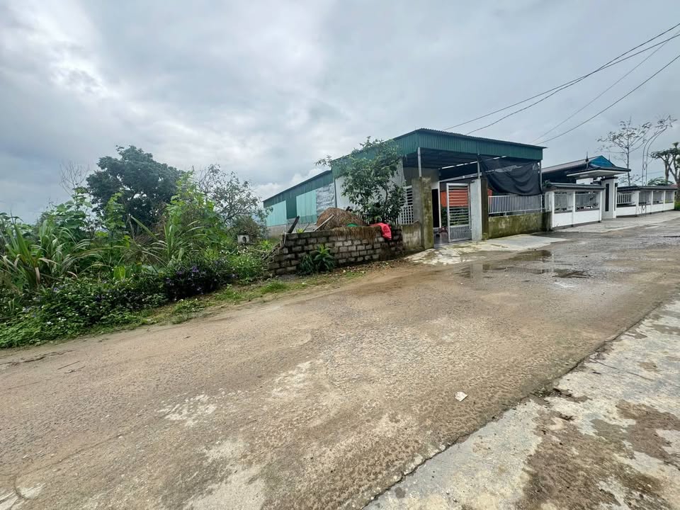 Đất nền Nghi Lộc 208m² - Sổ hồng chính chủ, tiềm năng tăng giá!