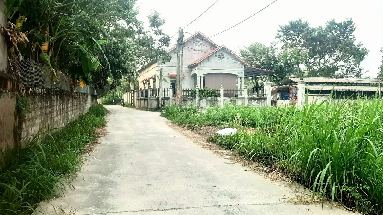 Đất nền Tam Đảo 102m² giá chỉ 6xx triệu - Vị trí đắc địa