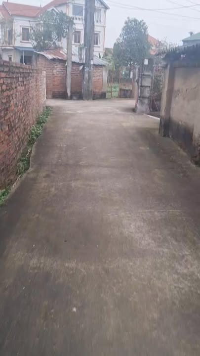 Đất Nền Vĩnh Tường 187m² - Sổ Đỏ Chính Chủ, Giá Đầu Tư 1.6 Tỷ