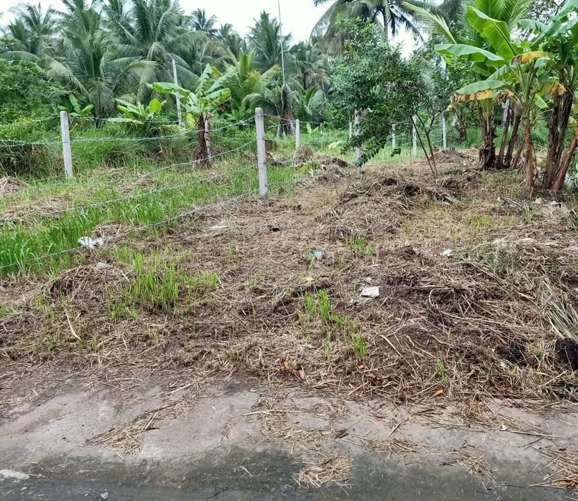 Đất Nền 119m² Tân Thạch, Châu Thành - Sổ Thổ Cư, Giá 400 Triệu