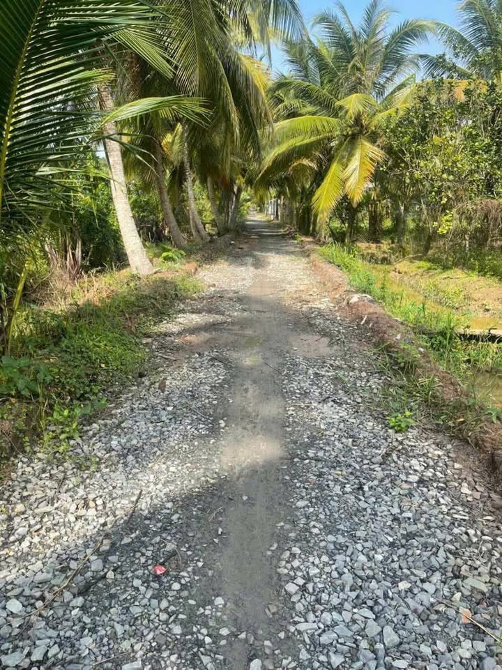 Đất nền Ấp Thụ Sở, Mỏ Cày Bắc Bến Tre từ 416m² - Đất thổ cư 100%!