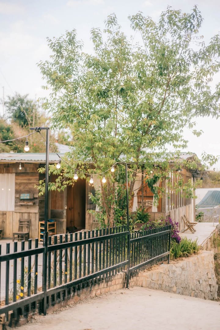 Home Đà Lạt P7 10 triệu - View đẹp săn mây, nghỉ dưỡng lý tưởng!