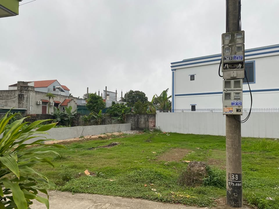 Đất nền Hướng Bắc 116m² - Nga Trường, Thanh Hóa - Giá chỉ 4xx Triệu