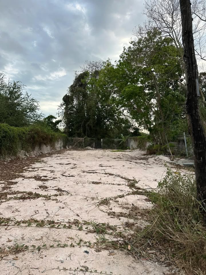 Mặt Tiền Cù Chính Lang - Kinh Doanh/Homestay View Sông Dinh 600m² - Bán Gấp