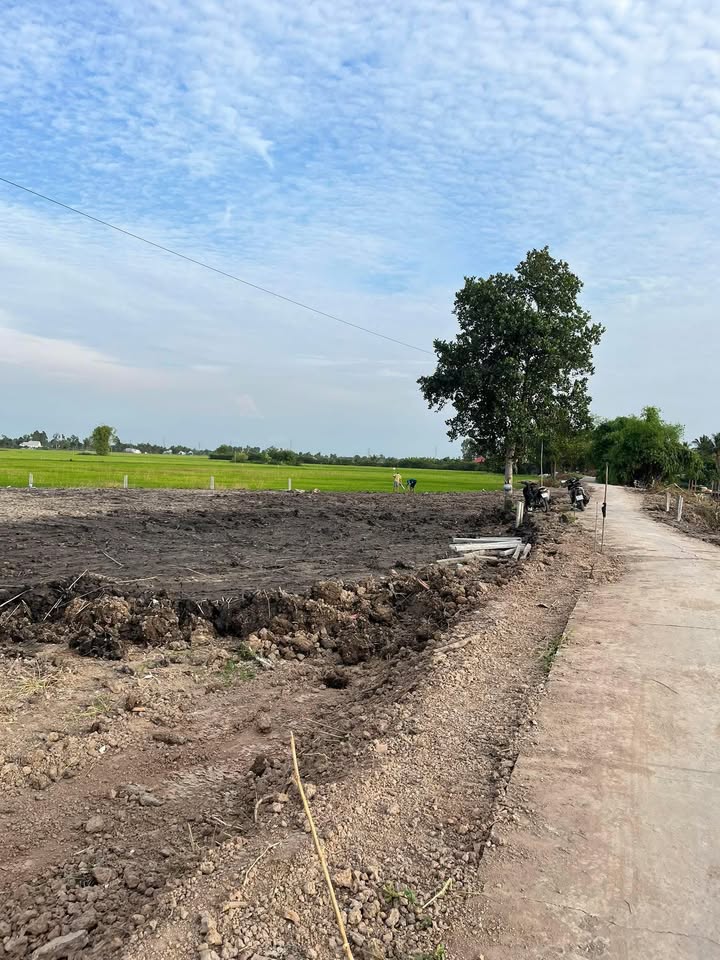 Đất Mặt Tiền Kinh 7, Châu Thành 225m² Thổ Cư - Giá Đầu Tư Hấp Dẫn