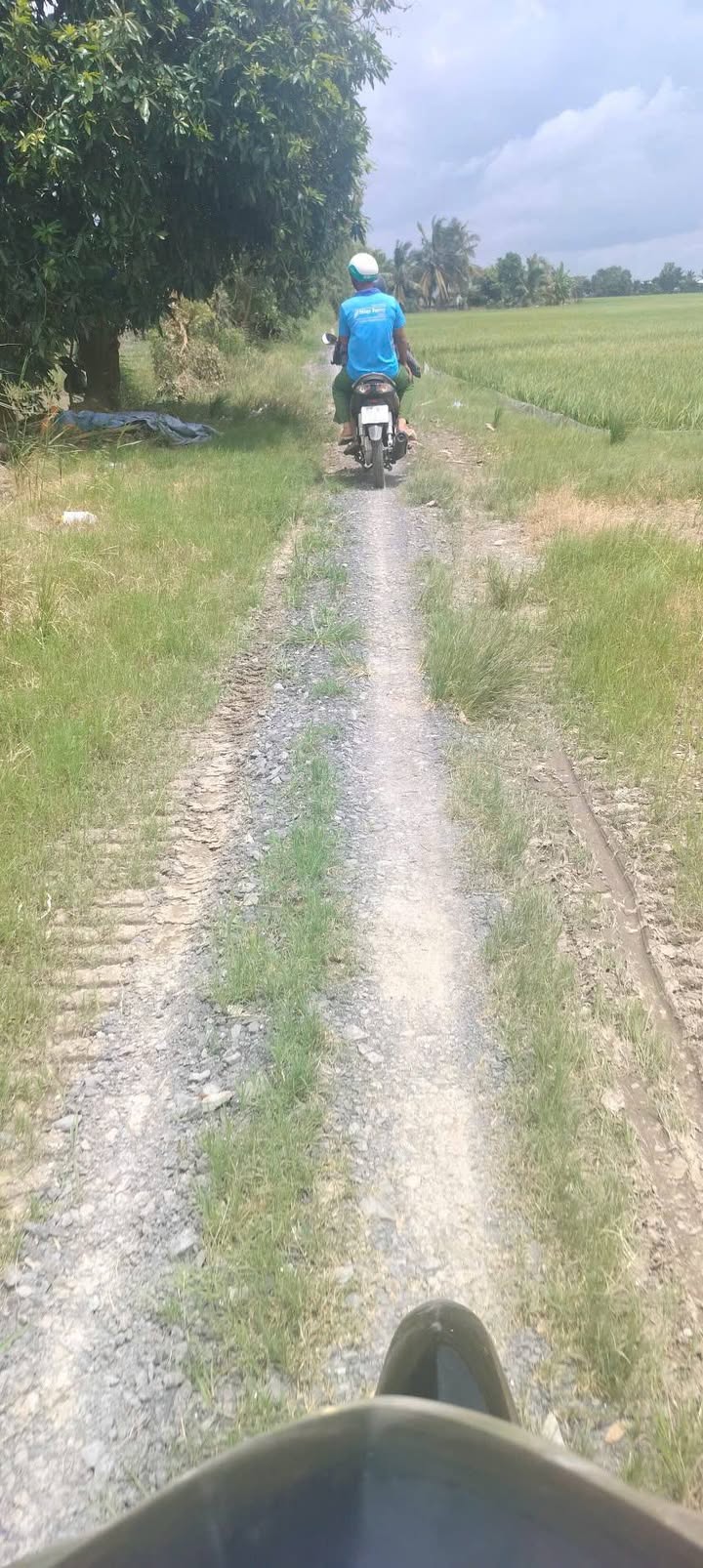 Đất Ruộng Kênh Trường Tiền Long Xuyên 17.000m² - Cơ hội đầu tư dài hạn!