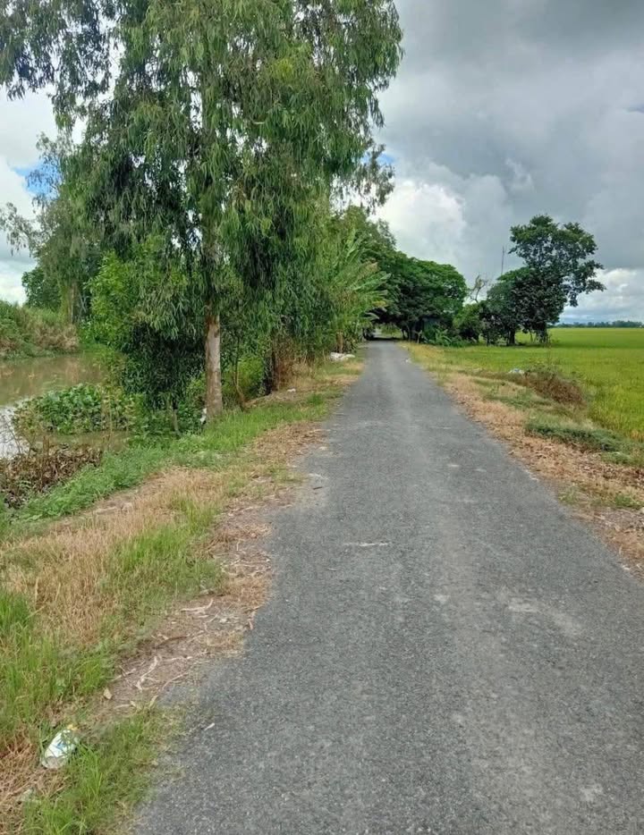 Đất Ruộng Định Mỹ, Thoại Sơn 14.000m² - Giá Tốt Hiếm Có!