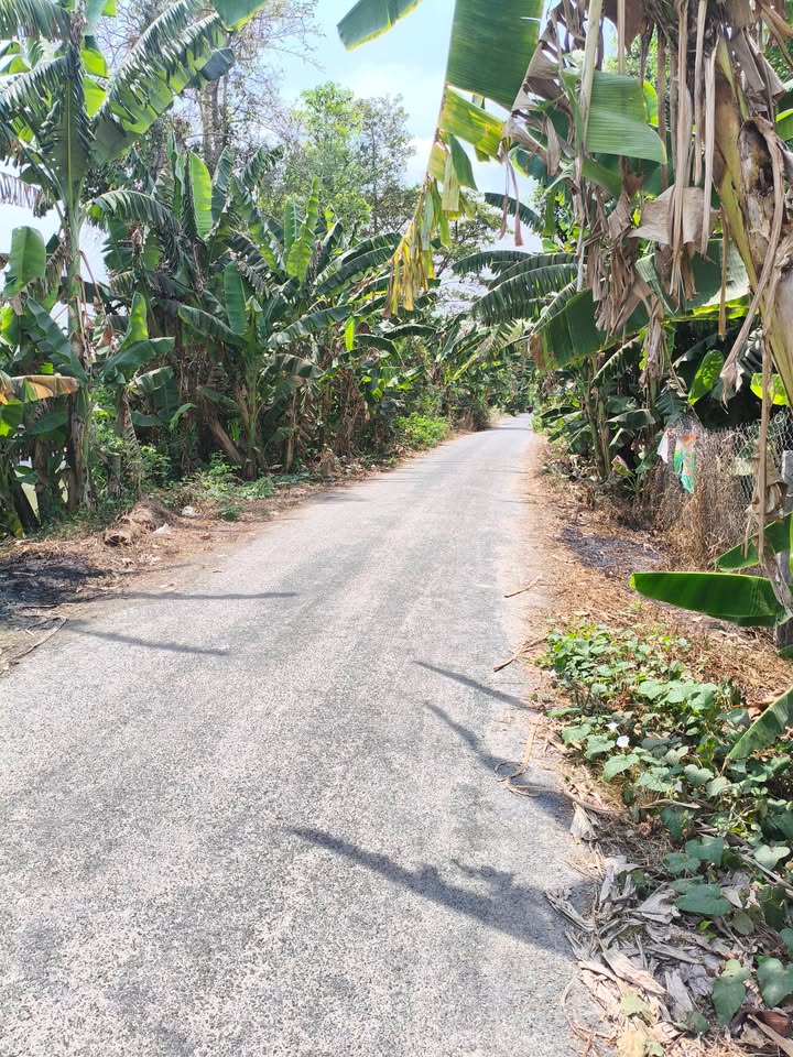 Đất Nền 190m² Đường Nhựa Kênh Chắc Cà Đao, Long Xuyên - Sổ Hồng Sẵn Sàng