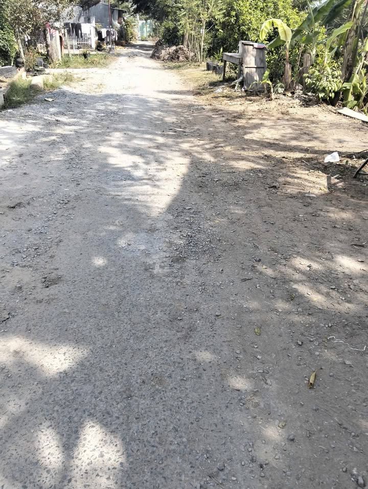 Đất nền Phú Hòa, An Giang 150m² - Mặt tiền sông, tiềm năng sinh lời cao