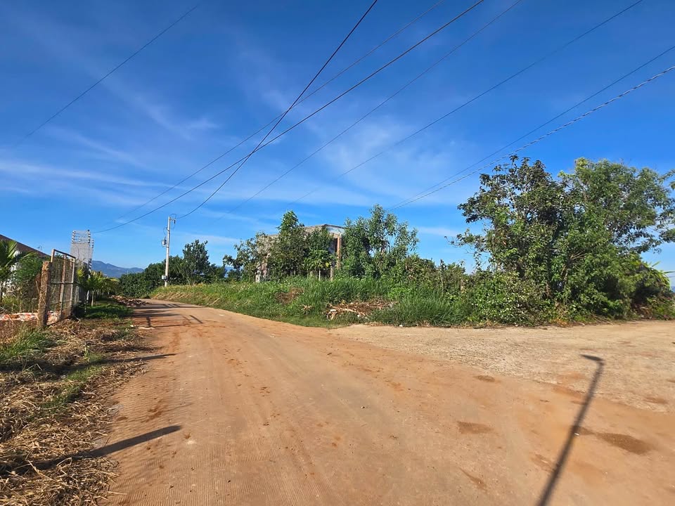 Đất Nền Tân Văn Lâm Hà: 329m² Ngay Dốc 800 - Đầu Tư Sinh Lời