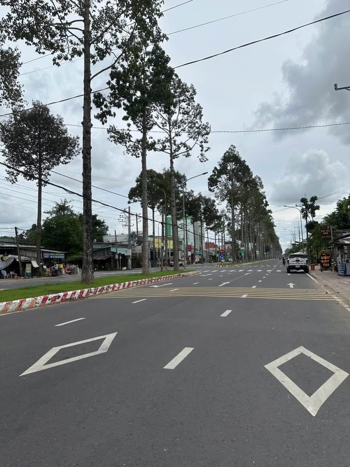 Đất nền Phạm Hữu Lầu Cao Lãnh 308m² 11 tỷ - Hạ tầng hoàn thiện