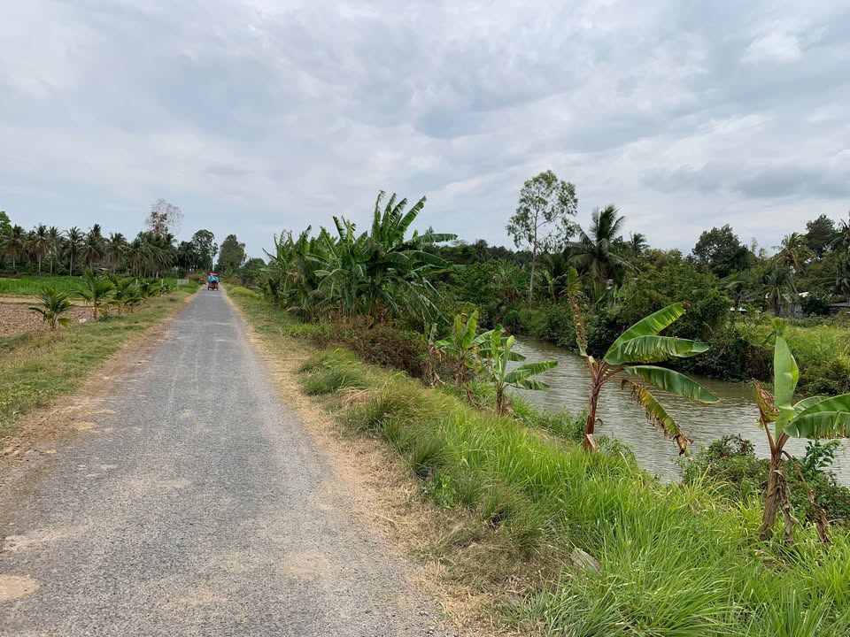 Đất nền Châu Thành 2141m² giá 1 tỷ - Sổ đỏ chính chủ