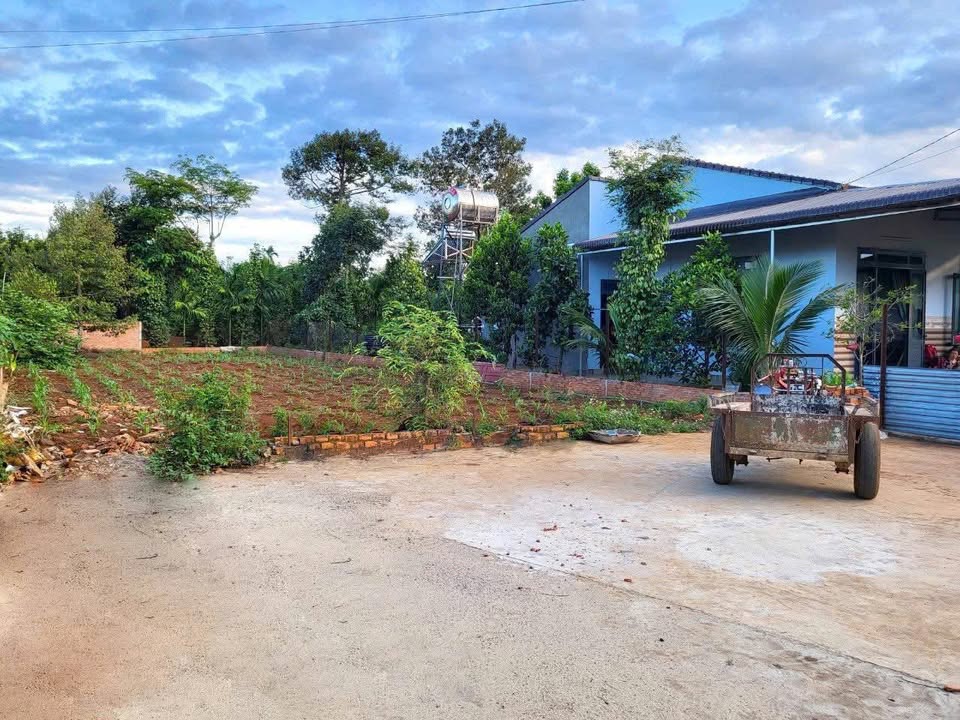 Đất nền Thôn Cao Thắng BMT 240m² - Đường ô tô, sổ đỏ chính chủ!