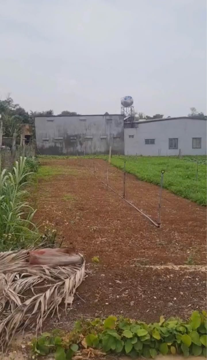 Đất nền Krông Na, Buôn Đôn 563m² - Tiềm năng tăng giá!