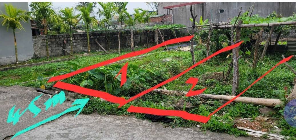 Đất nền An Lão 160m² giá từ 1 tỷ - Sổ đỏ chính chủ!