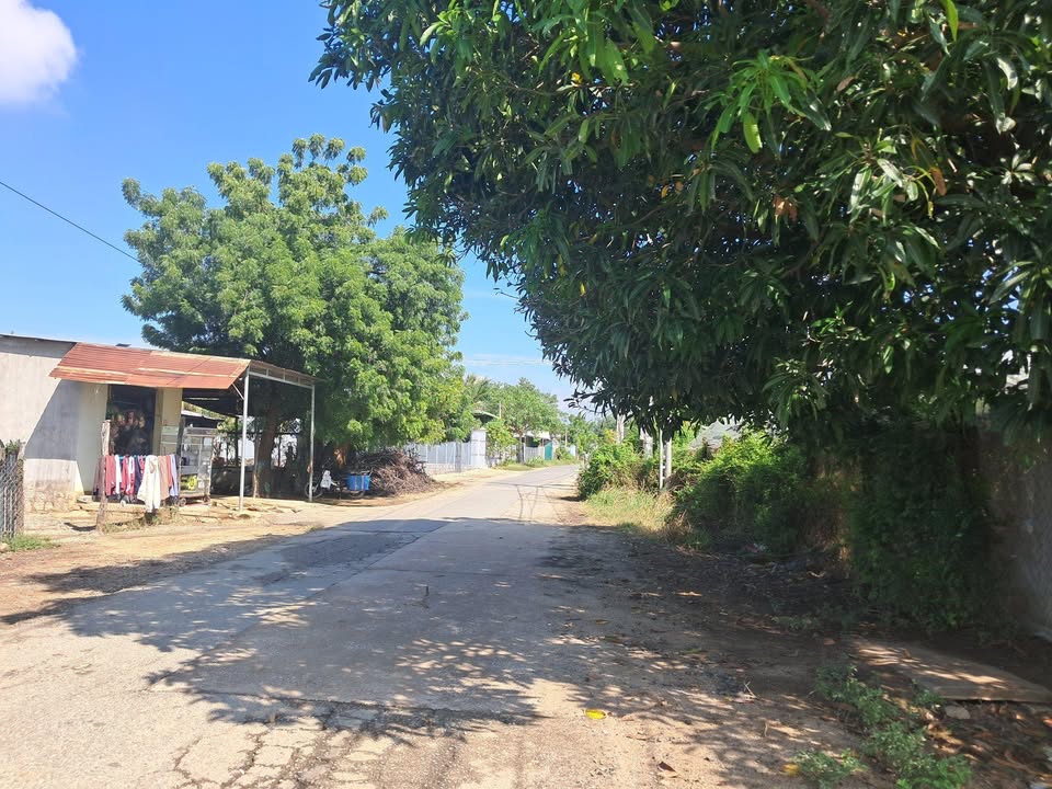 Bán đất mặt tiền Phước Hậu Đức Trọng 784m² - Pháp lý rõ ràng!