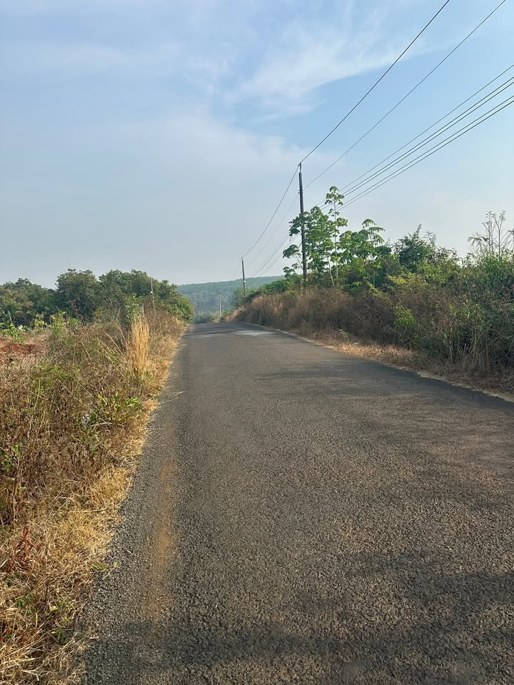 Đất Farm 1.6ha Mặt Tiền Đường Nhựa - Vị Trí Đắc Địa Tại Bù Đăng, Bình Phước