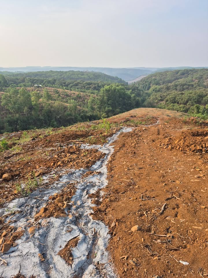 Đất Thọ Sơn, Bù Đăng 1.52ha - Đường to ô tô, Tiềm năng tăng giá!