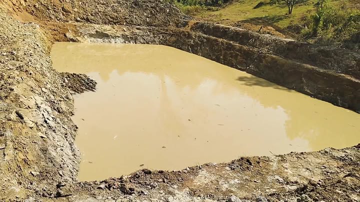 Đất vườn Bù Đăng 1.6ha - Giá đầu tư tốt!