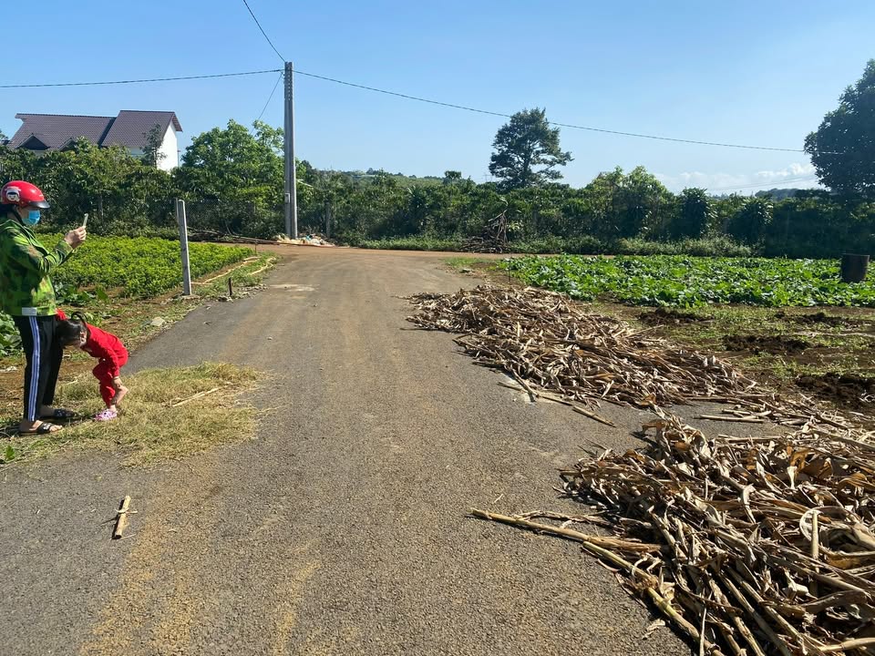 Đất nền Lộc Tiến Bảo Lộc 200m² giá 1.4 tỷ - Sổ đỏ chính chủ!