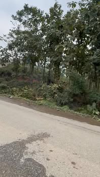 Đất nền Việt Trì 200m² giá hơn 1 tỷ - Đầu tư sinh lời ngay!